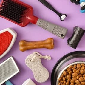 dog supplies