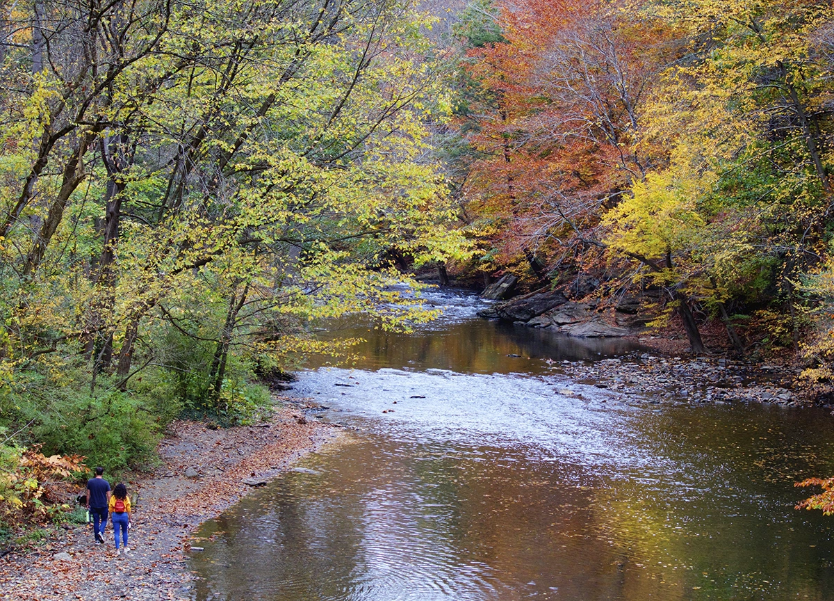 A couple walks alongside the Wissahickon Creek in the fall. 