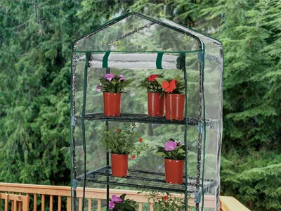 An outdoor portable greenhouse with flower pots inside