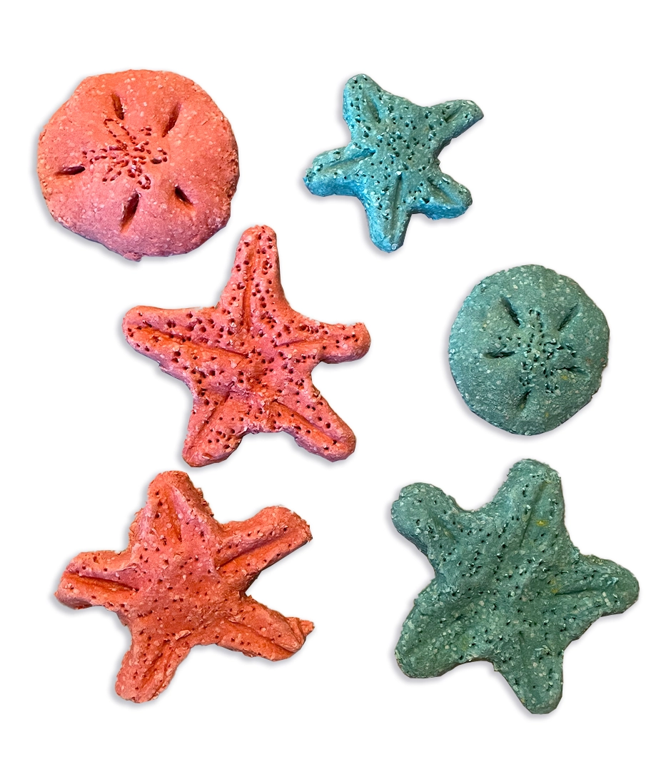 Pink and blue salt dough sea stars and sand dollars.