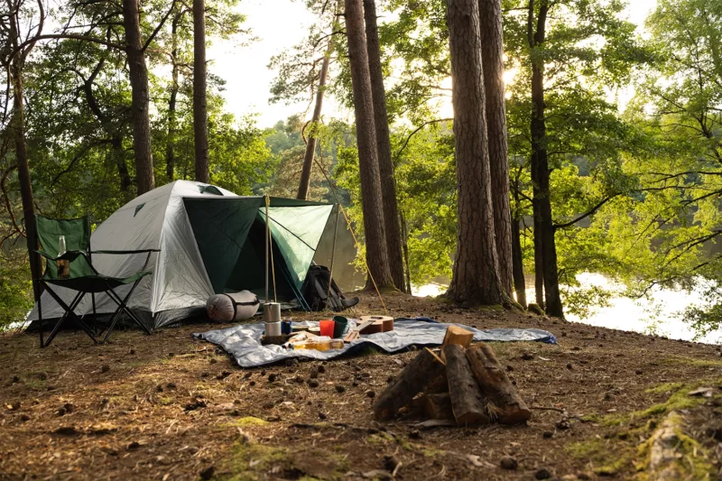 Campsite in the woods, with a tent set up and picnic blanket in front