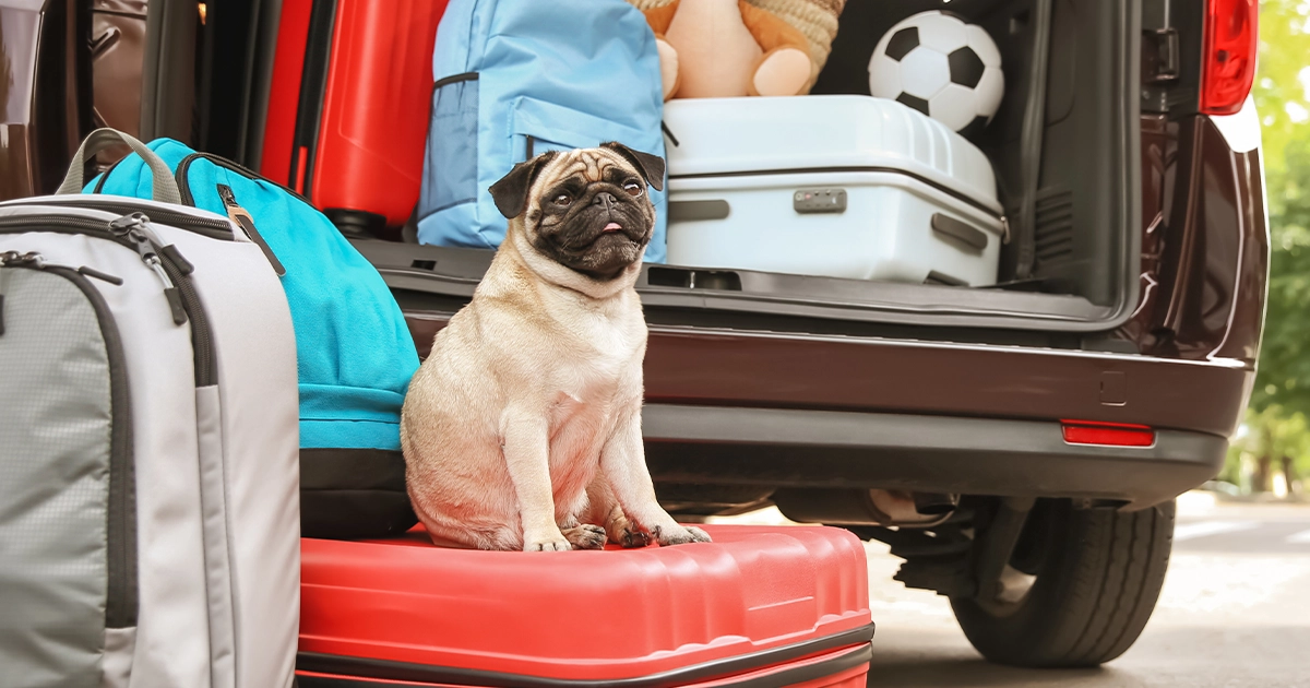 A dog sits on top of a suitcase next to a car packed for travel