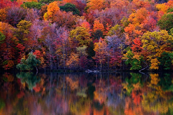 A view of fall foliage across a body of water.