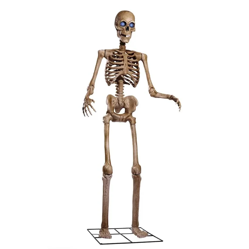 Skully the 8ft. Animatrotronic Skeleton