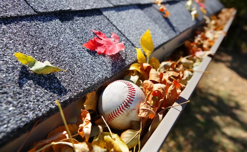 Gutter filled with autumn leaves and a baseball