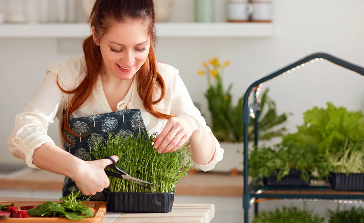 A woman snips fresh herbs from a plant.