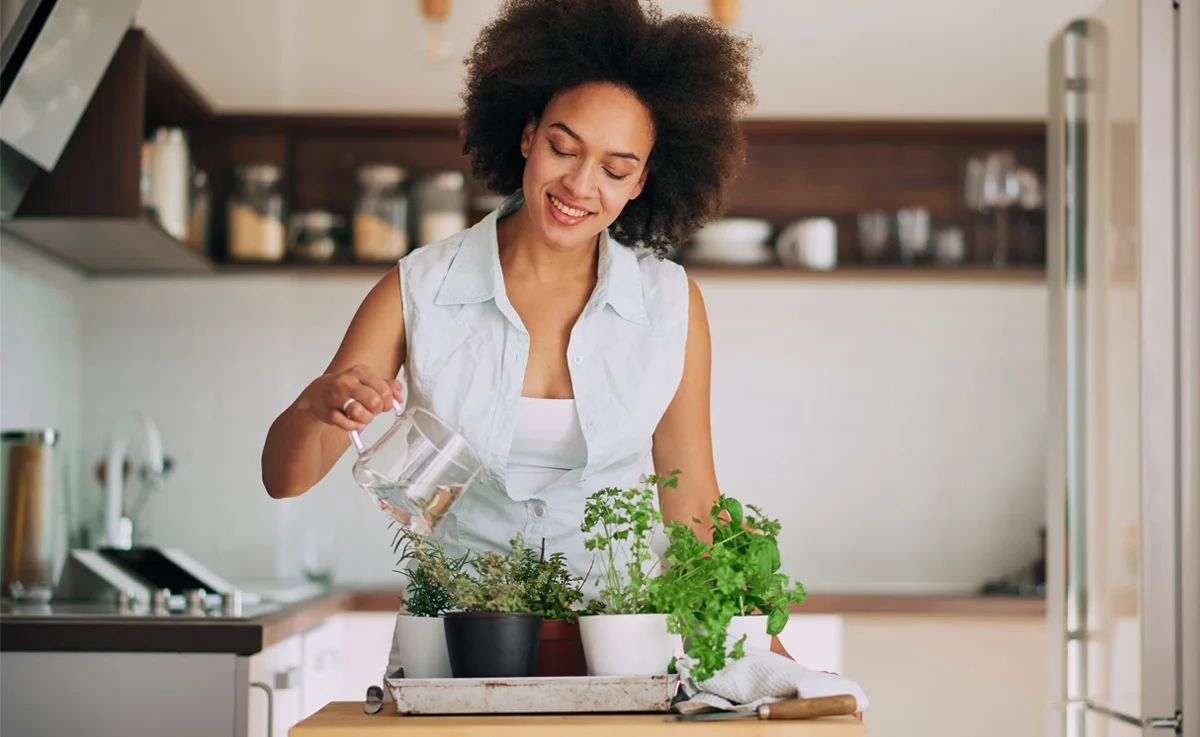 A woman waters a tray of herb plants in her kitchen.