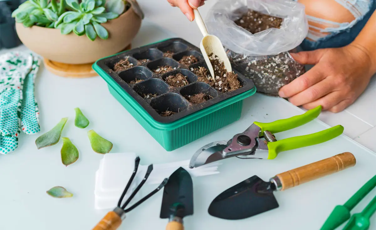 A woman planting seeds indoors from a planting supplies tray.