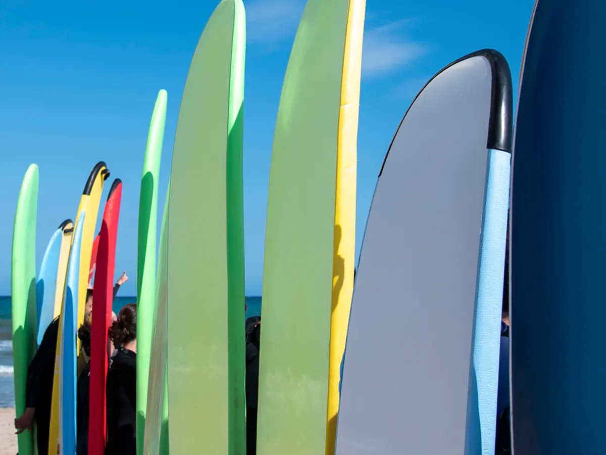 Paddleboards of different shapes and sizes