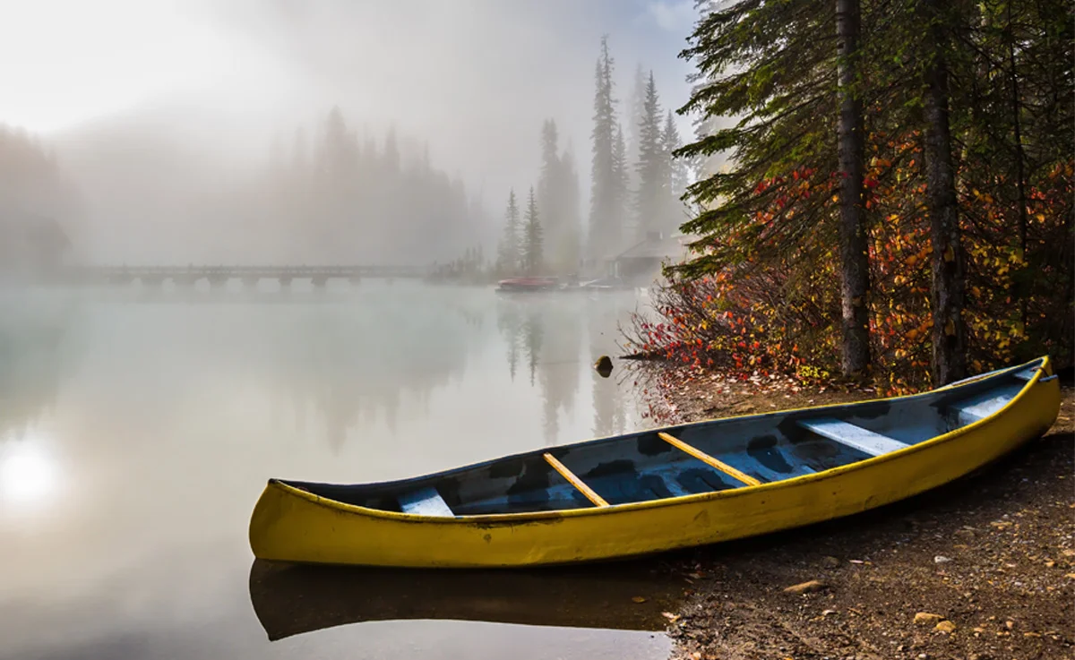 A canoe by the side of the lake in the woods.
