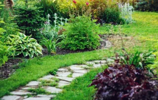 A stone path winding through a lush green garden.