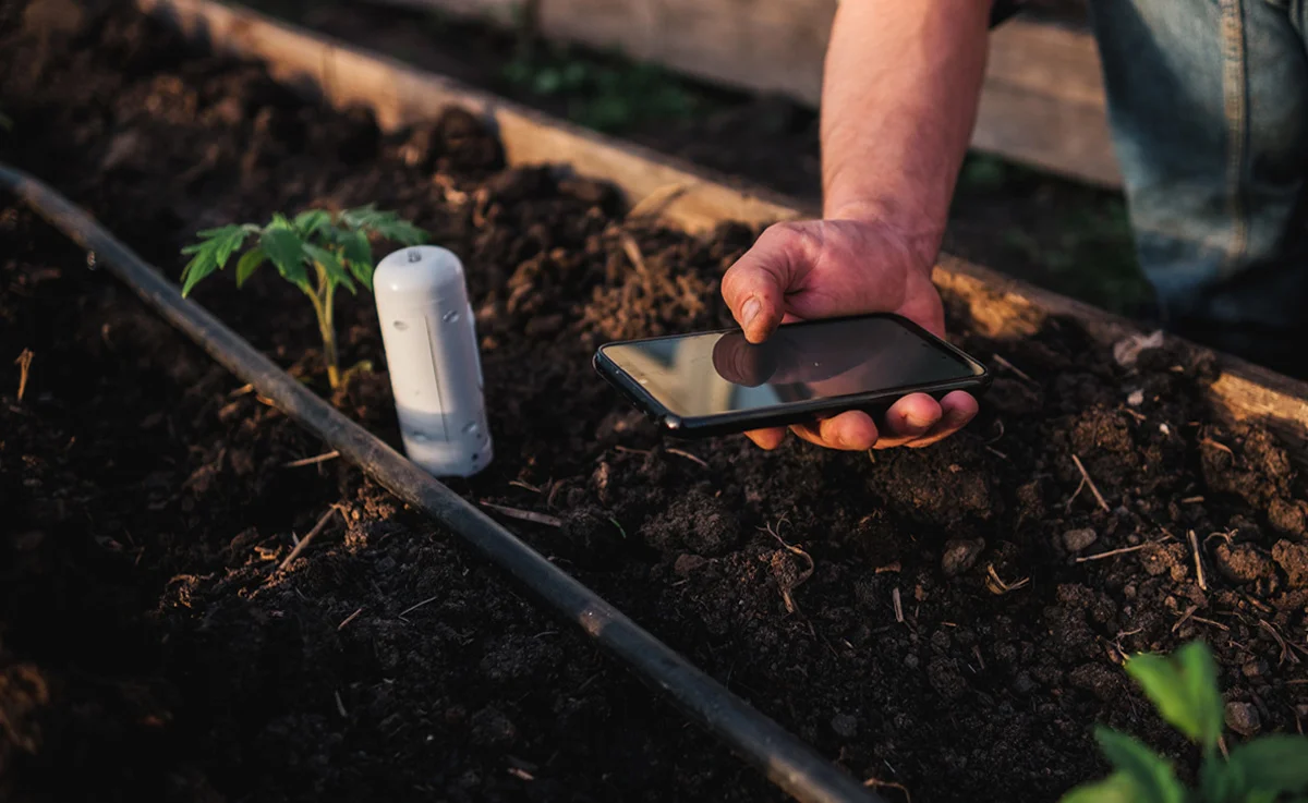 Gardener using mobile app checking monitoring soil moisture with smartphone.