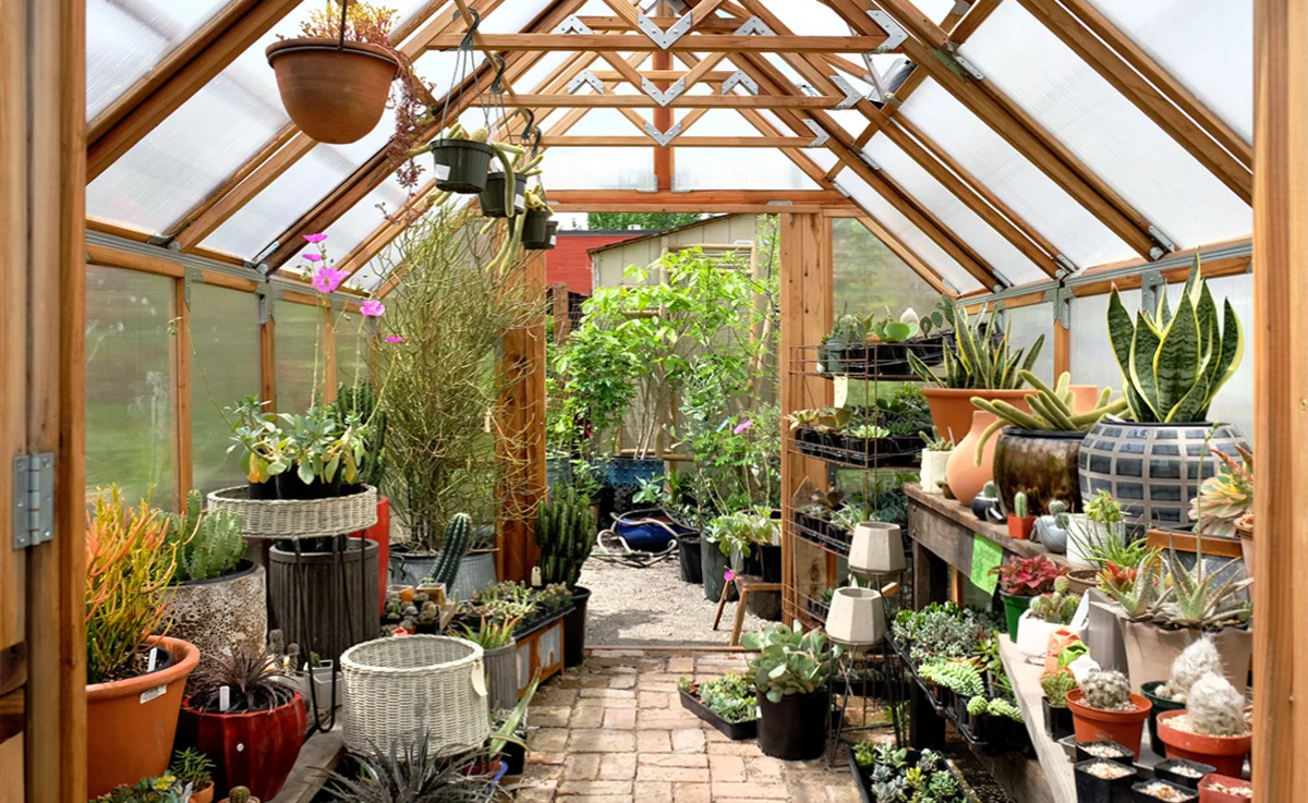 A view of the inside of a greenhouse.