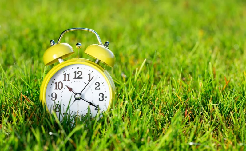 A yellow alarm clock sitting in the grass.
