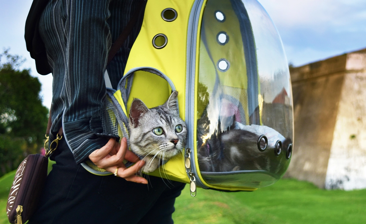 A person walks with a cat in a backpack-style cat carrier.