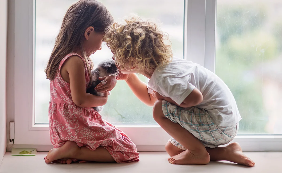A young boy and girl cuddle with a kitten in front of a window.