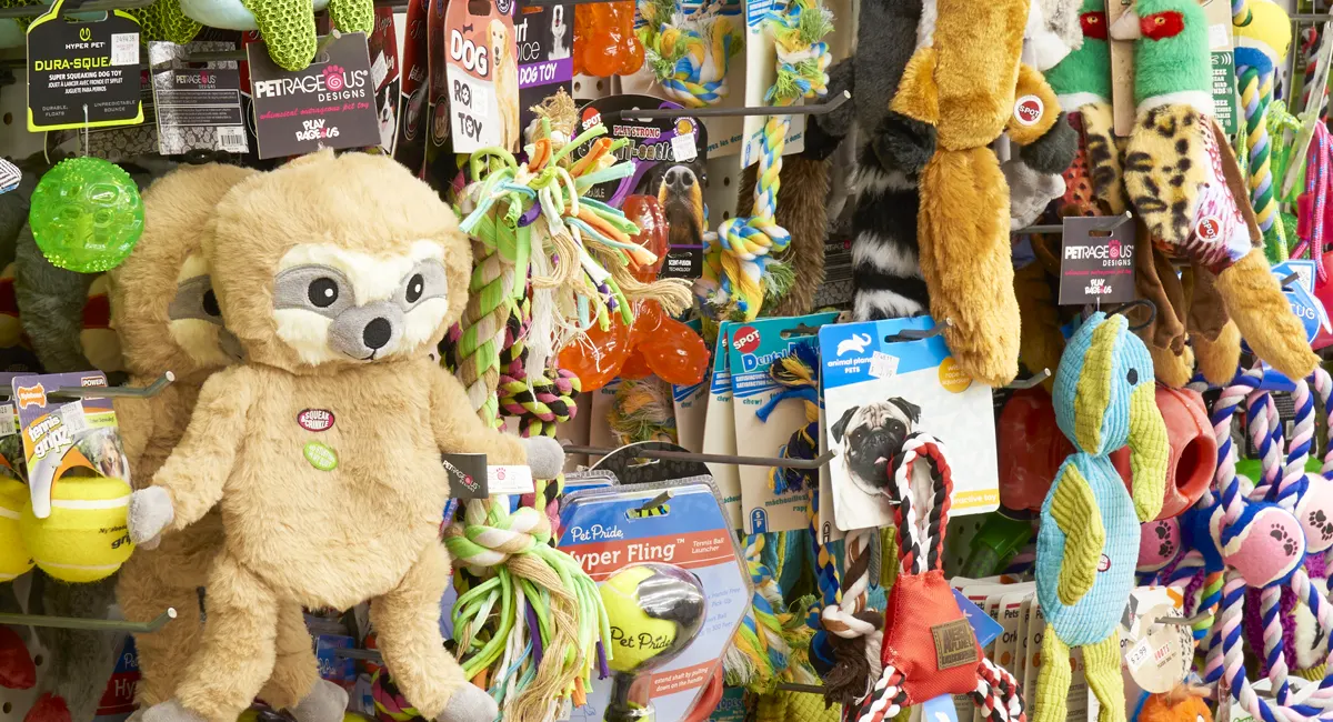 Wall photo of dog toys at Ocean State Job Lot