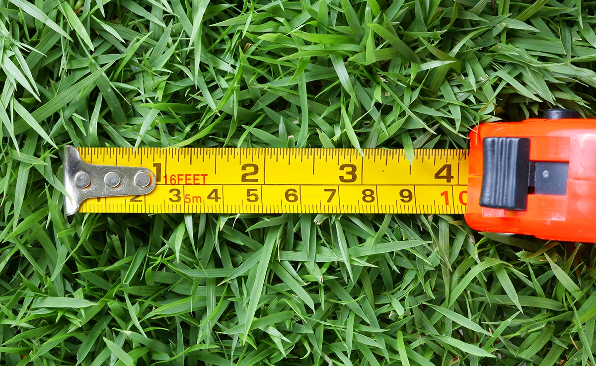 An extended measuring tape on grass.