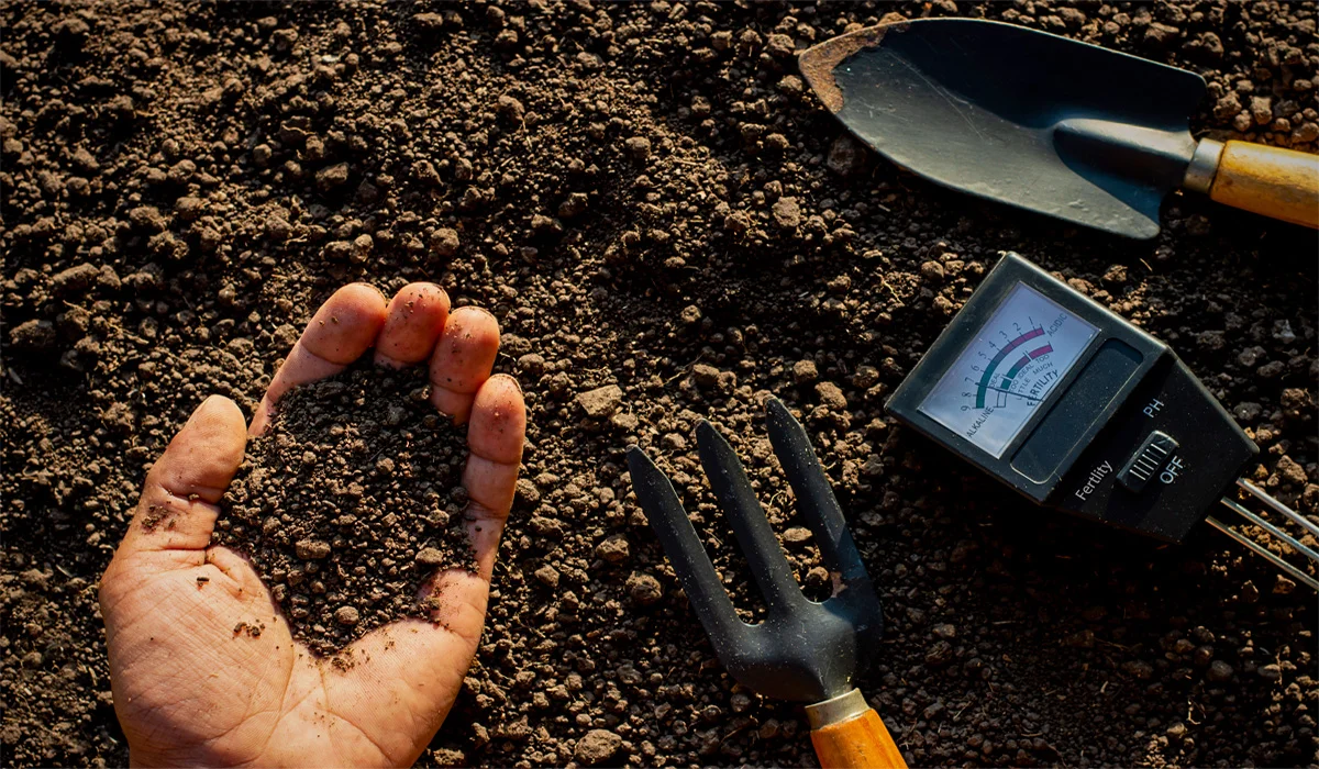 Person examining soil surrounded by soil meter and gardening tools.