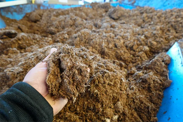 Close up of peat moss