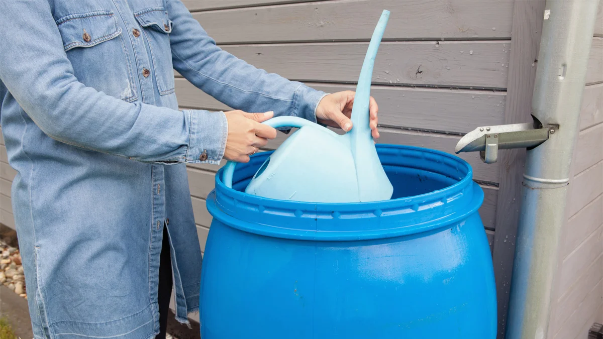 Woman collecting a rain water from the barrel to water plants, ecological garden watering.