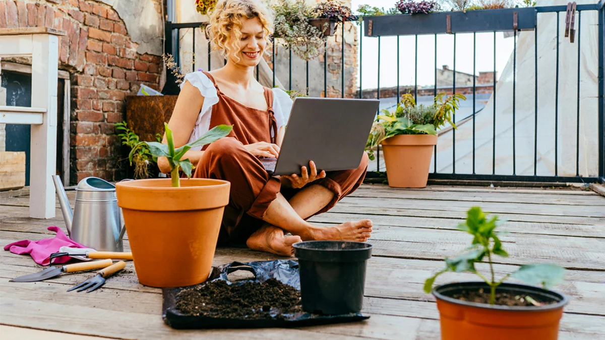 Woman gardener sitting on terrace reading information online about home gardening on her laptop.