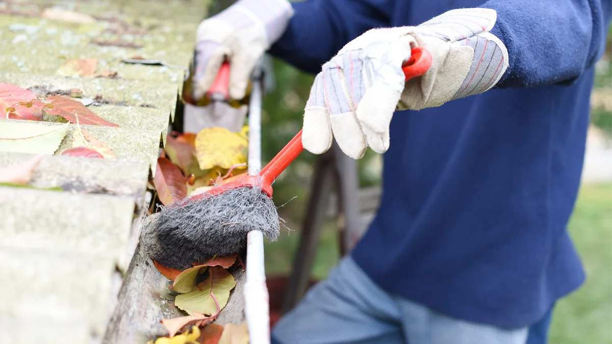 Person cleaning gutter blocked with autumn leaves.