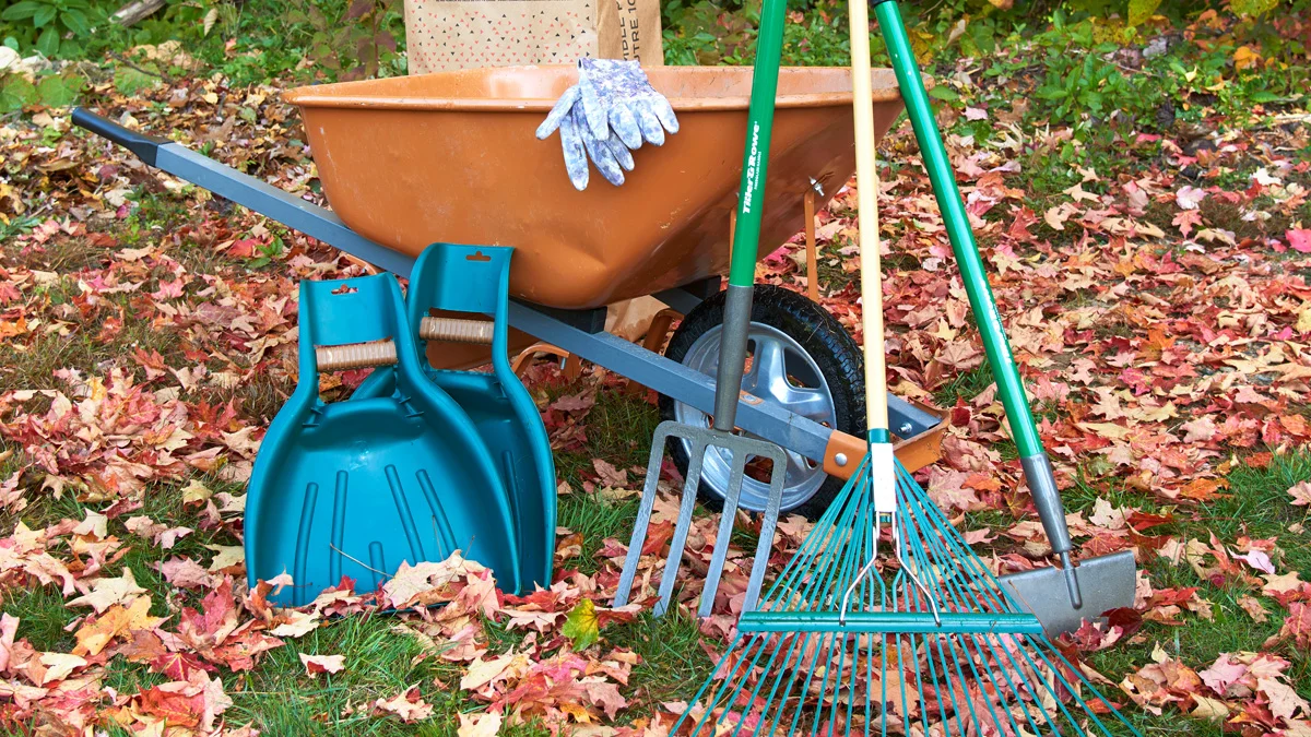 Fall backyard cleanup yard tools including leaf scoops, rake, wheelbarrow, lawn bags and more.