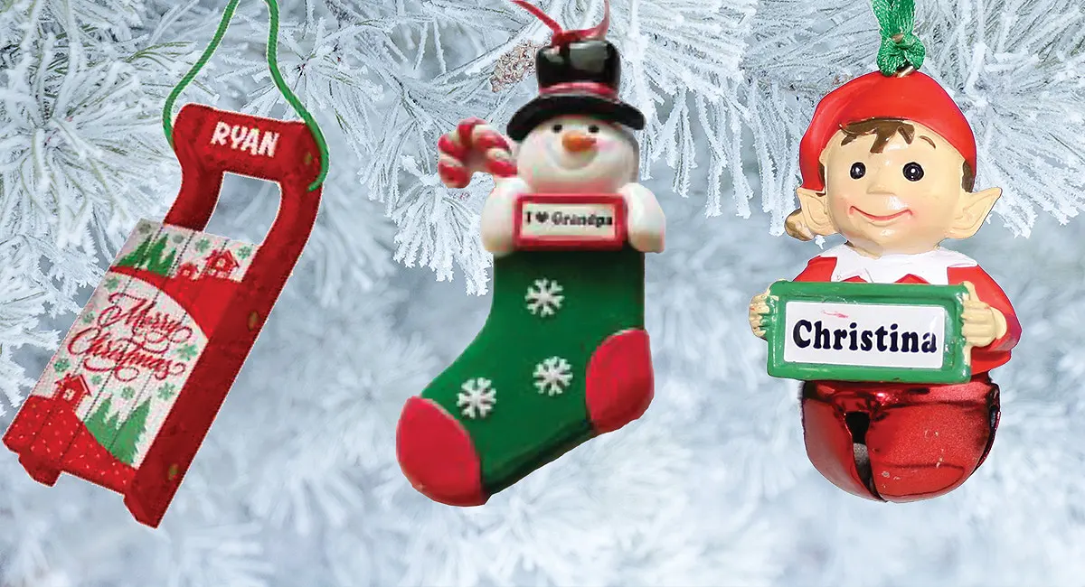 Three ornaments hanging in front of a snowy background with tree branches.