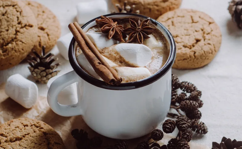 A cup of hot cocoa and some cookies.