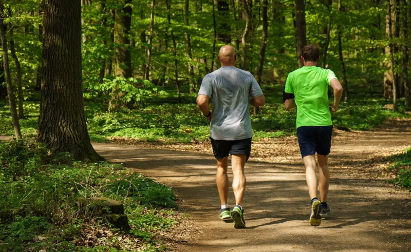 Two people jogging in the woods.