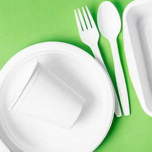 disposable serveware
