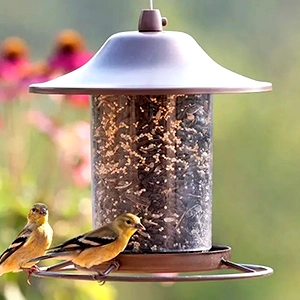 bird feeders