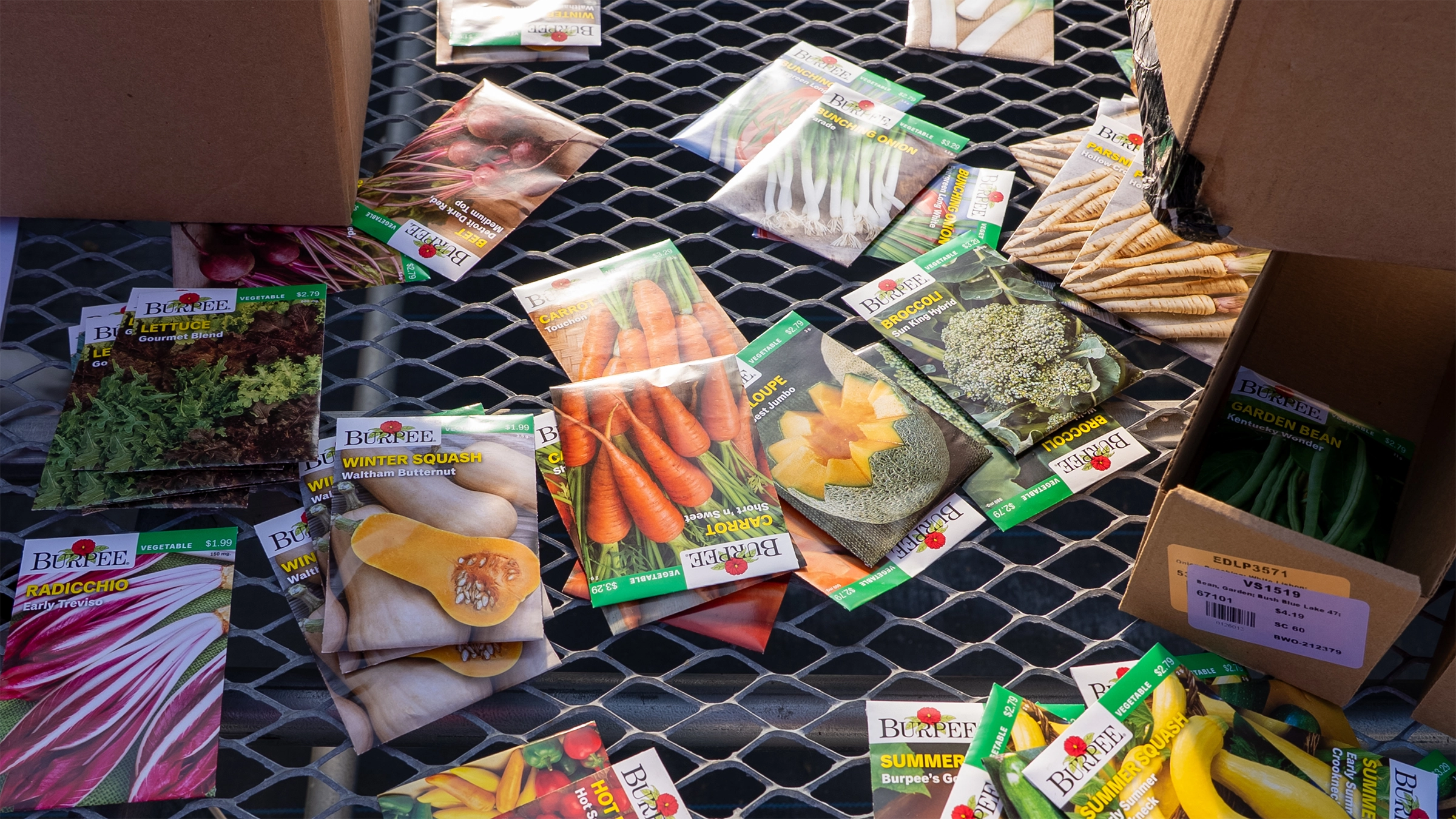 Volunteers from the Master Gardeners program at URI sorting seeds from Ocean State Job Lot’s Sow and Grow program