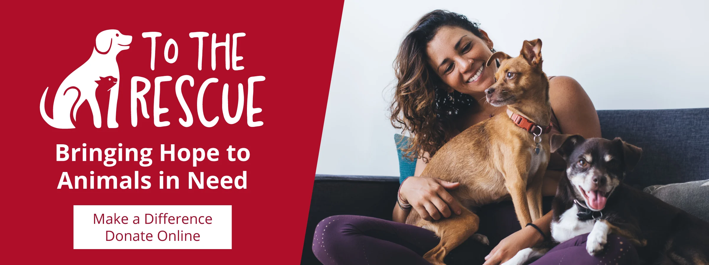 To The Rescue, Bringing Hope to Animals in Need, Make a Difference, Donate Online