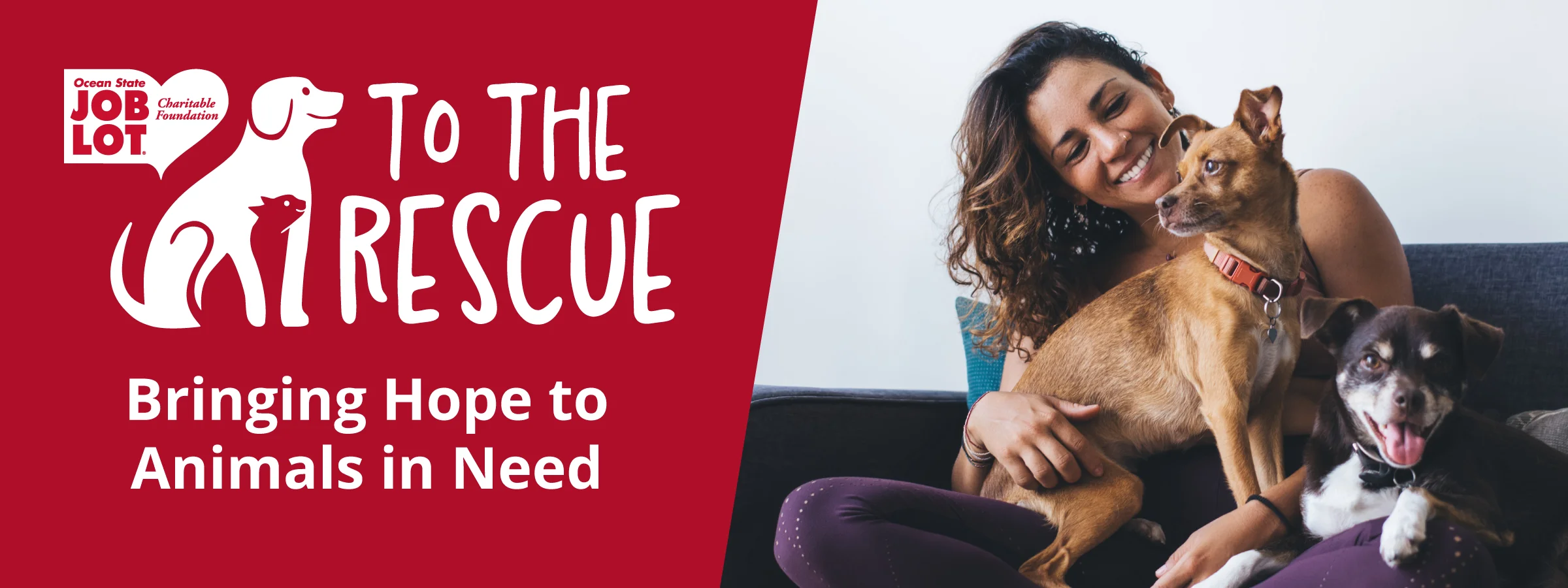 To The Rescue, Bringing Hope to Animals in Need