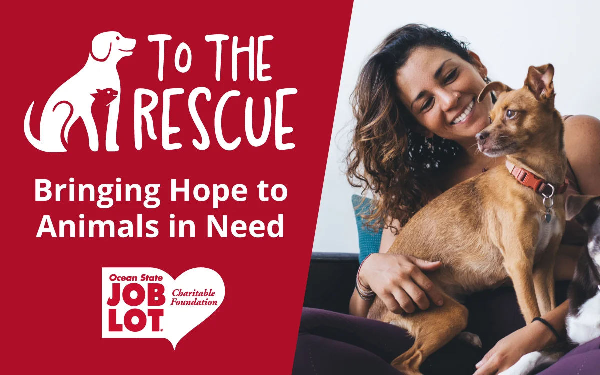 To The Rescue, Bringing Hope to Animals in Need