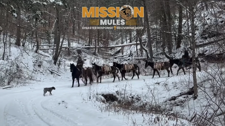 The United Cajun Navy and Mountain Mules Packer Ranch partnering with the Ocean State Job Lot Foundation to deliver supplies to West Virginia in icy conditions.