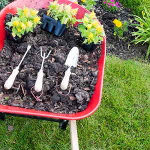 planting and lawn care